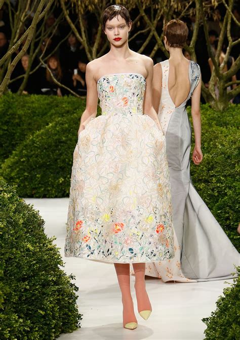 dior 2013 spring heind|christian dior dresses 2013.